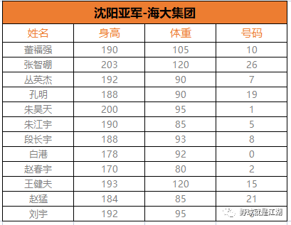 沈阳篮球大赛冠军有哪些_篮球沈阳大赛冠军有哪些_篮球沈阳大赛冠军有几个