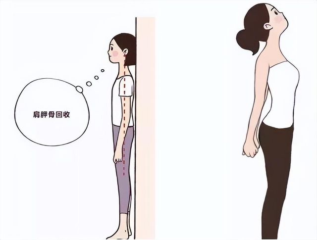 适合去健身房的运动_适合去健身房锻炼的软件_房健身运动适合去哪些地方