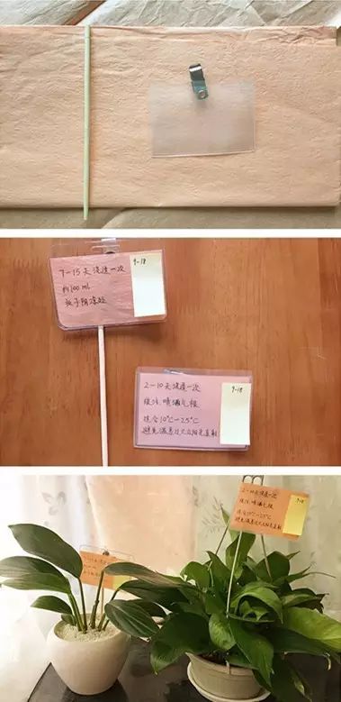 生活小窍门怎样做胶_在家怎么做胶_怎么用胶做东西