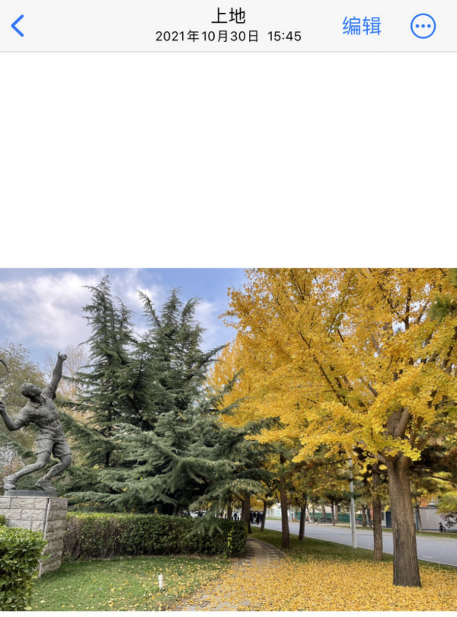 祝贺足球冠军的话_祝足球教练比赛取得冠军的文案_足球比赛祝福语感谢教练