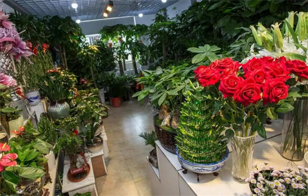 花店连锁加盟
