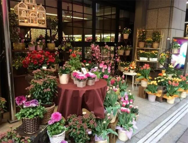 花店连锁加盟