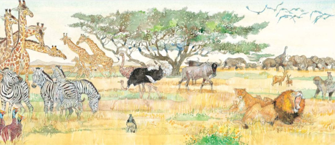 手绘家庭照片_家庭日常插画手绘图_家庭插画