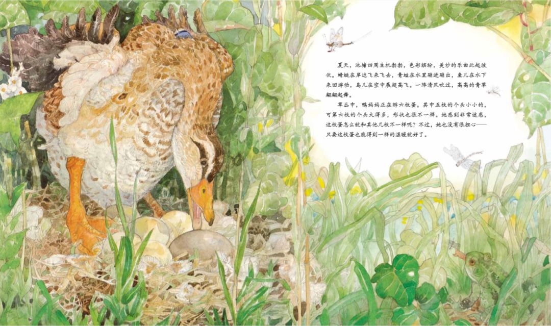 手绘家庭照片_家庭插画_家庭日常插画手绘图